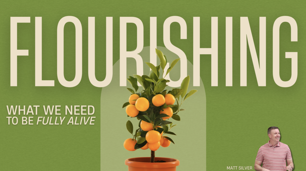 Flourishing; What We Need to Be Fully Alive | Matthew 5