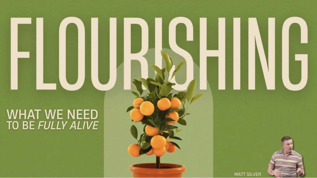 Flourishing; What We Need to Be Fully Alive | Grief