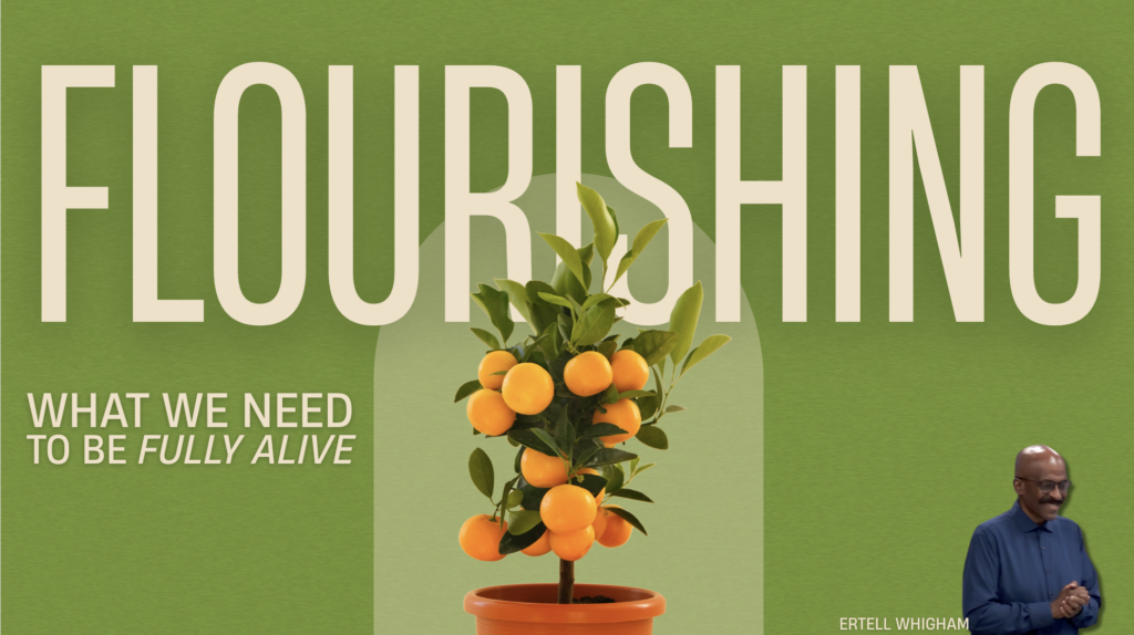Flourishing; What We Need to Be Fully Alive | Matthew 5:5