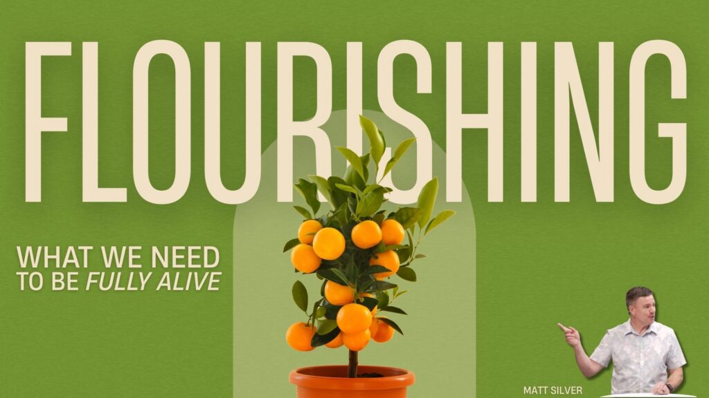 Flourishing; What We Need to Be Fully Alive | Luke 10