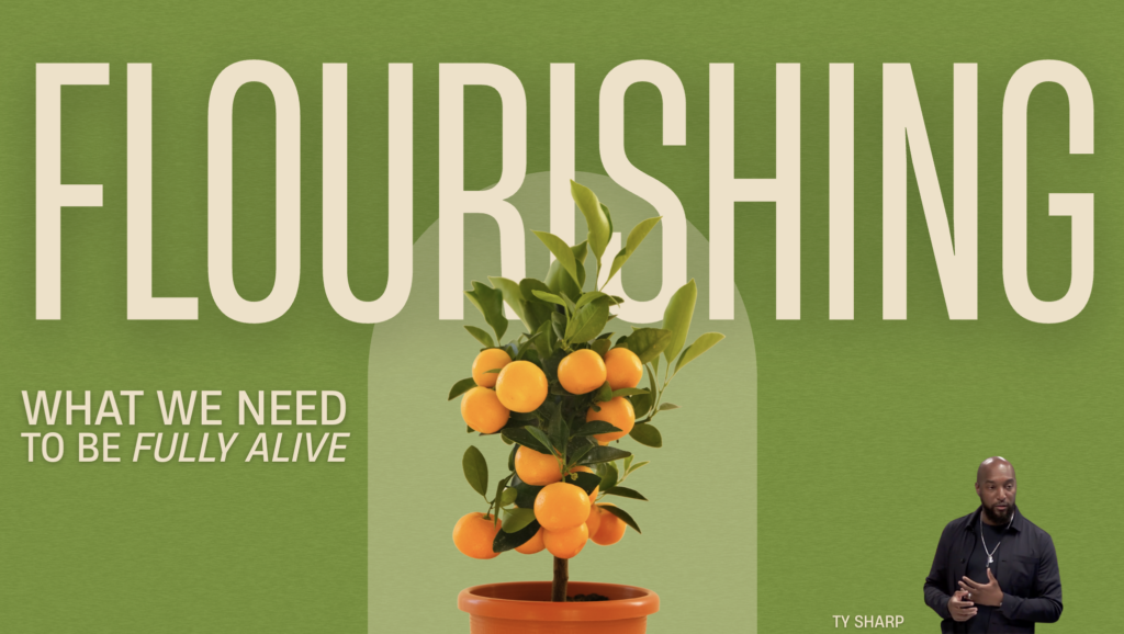 Flourishing; What We Need to Be Fully Alive | Seeing God