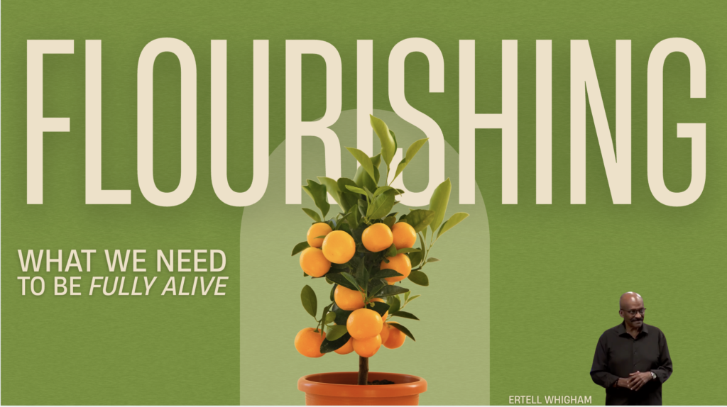 Flourishing; What We Need to Be Fully Alive | Peace