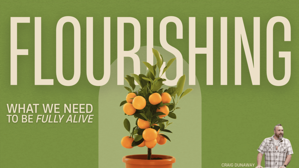 Flourishing; What We Need to Be Fully Alive | Persecution