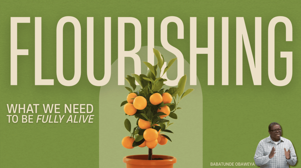 Flourishing; What We Need to Be Fully Alive | Persecution Part II
