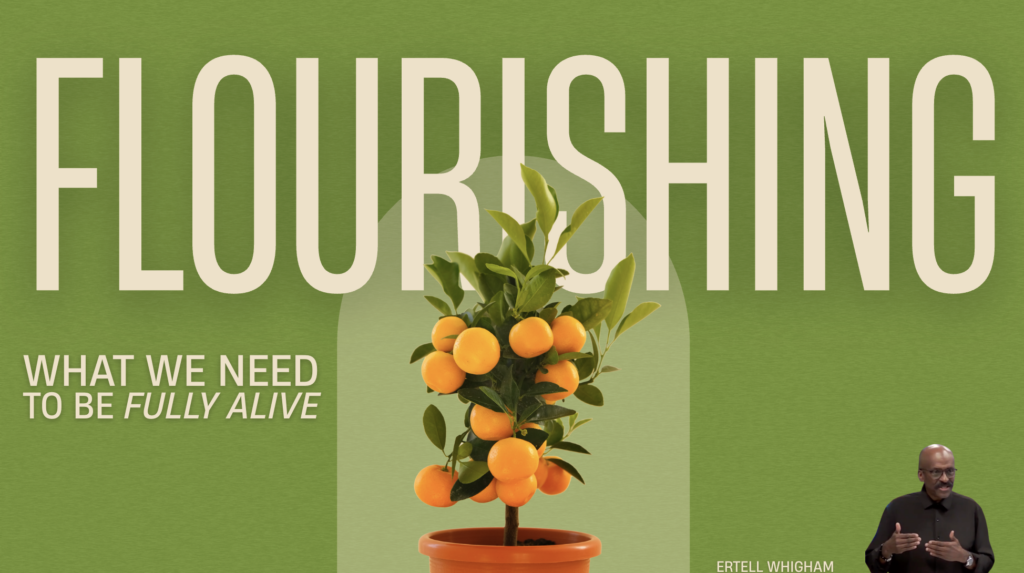 Discipleship | Luke 9:23